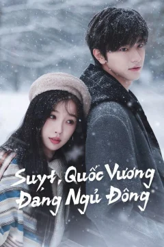 Xem phim Suỵt, Quốc Vương Đang Ngủ Đông - RoPhim