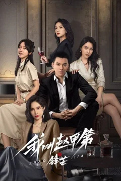 Xem phim Tôi Là Triệu Giáp Đệ: Phong Mang - RoPhim